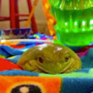 Meet your Posher, Sage